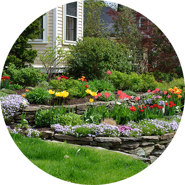 garden garden